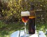 Bier auf der Gartenbank im Frühling - Belgisches Dubbel