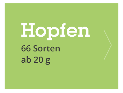 Zur Kategorie Hopfen - 66 Sorten ab 20 g