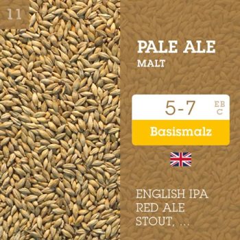 Pale Ale Malt 5-7 EBC