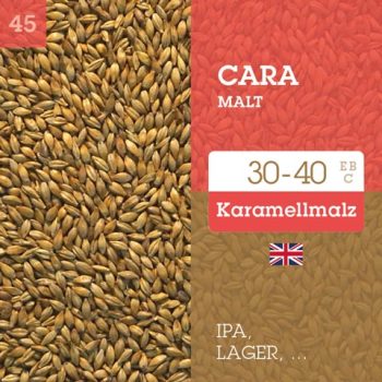 Cara Malz - Cara Malt 30-40 EBC