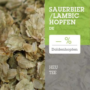 Gealterter Doldenhopfen - Tettnanger Hopfendolden